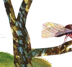 Eric Carle, Illustration für »Die kleine Grille singt ihr Lied« (Philomel Books)