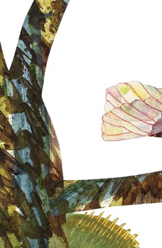 Eric Carle, Illustration für »Die kleine Grille singt ihr Lied« (Philomel Books)