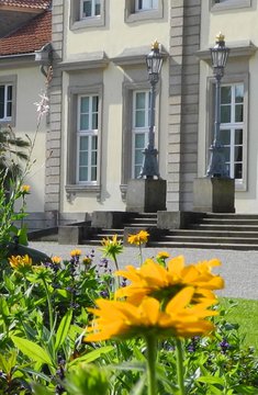Museum Wilhelm Busch Blumen Bildrechte Museum Wilhelm Busch