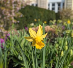 Frühling im Museum Wilhelm Busch