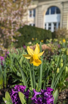 Frühling im Museum Wilhelm Busch