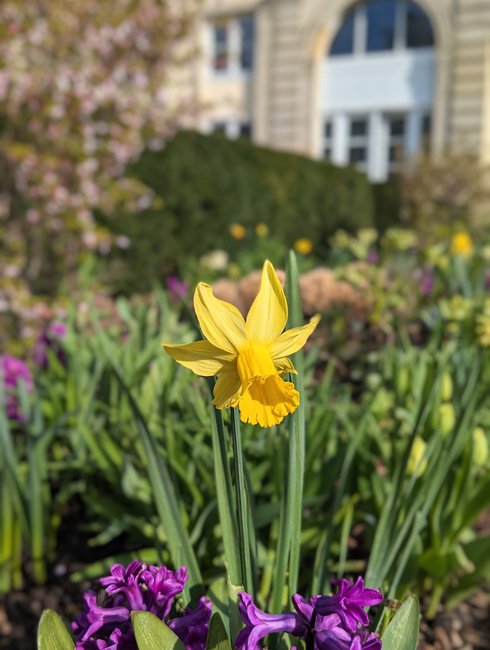 Frühling im Museum Wilhelm Busch