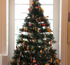 Tannebaum