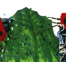 Eric Carle, Illustration für »Der kleine Käfer Immerfrech« (HarperCollins)